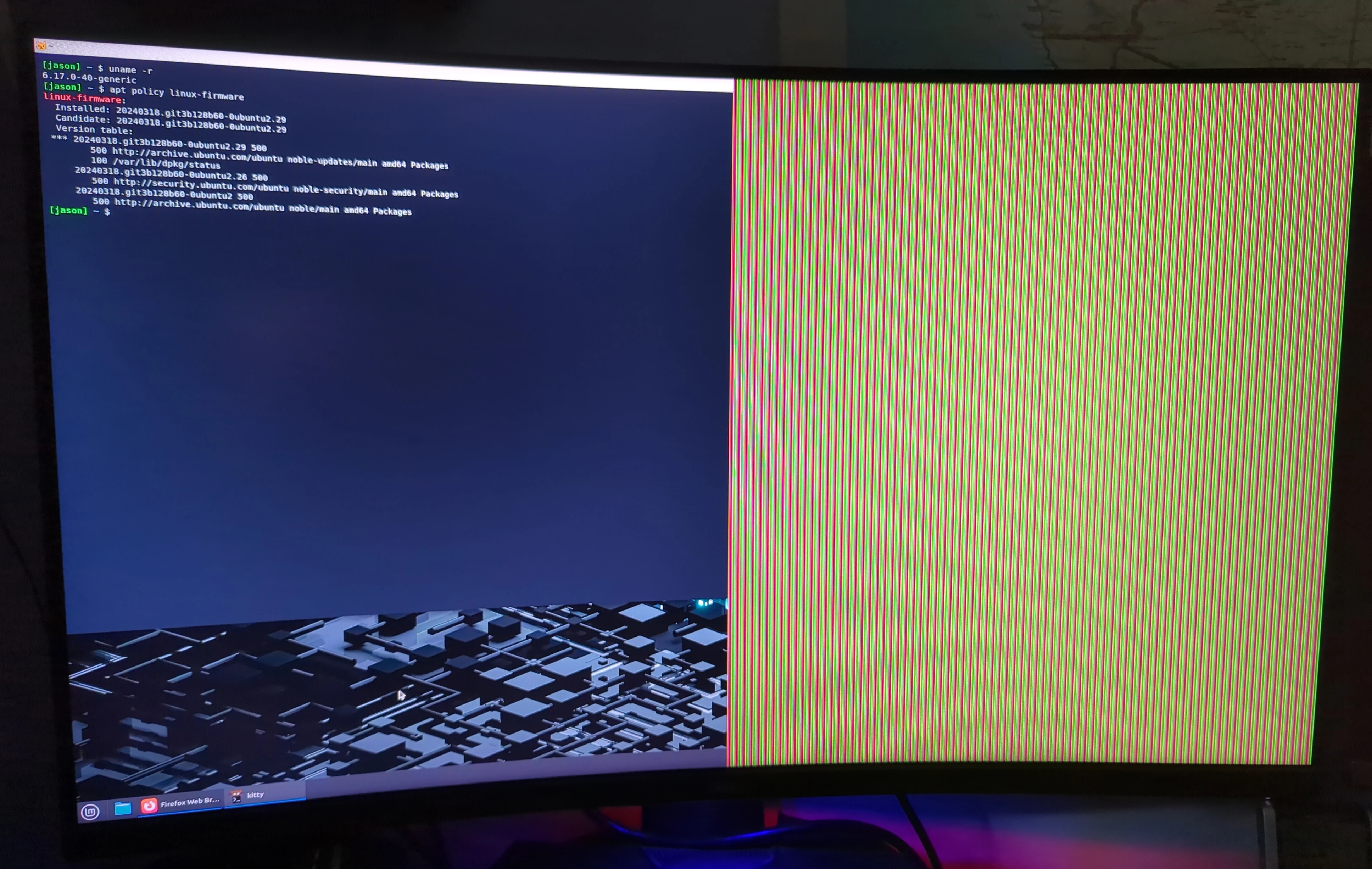 Linux Mint graphics issue